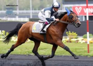 Formule Sur Turf