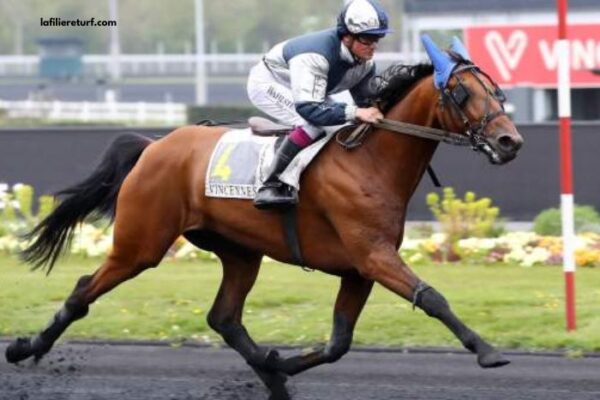Formule Sur Turf