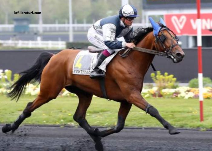 Formule Sur Turf