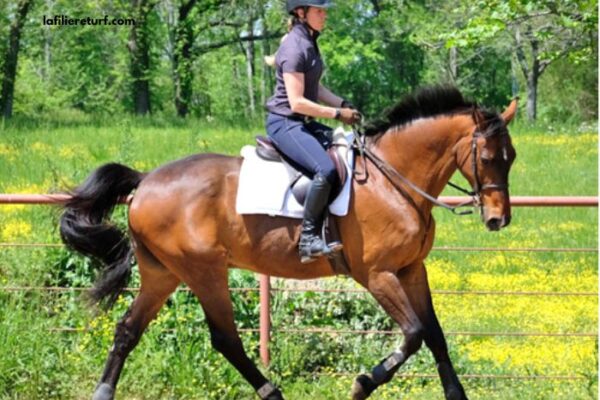 Le Duo Du Turf