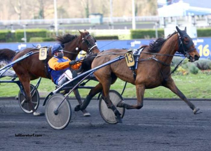 Programme Pmu' DE Demain Lonab