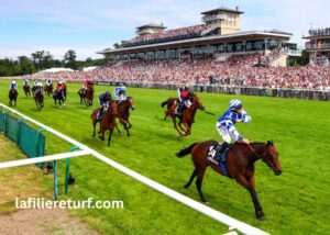 Paris Promise Turf