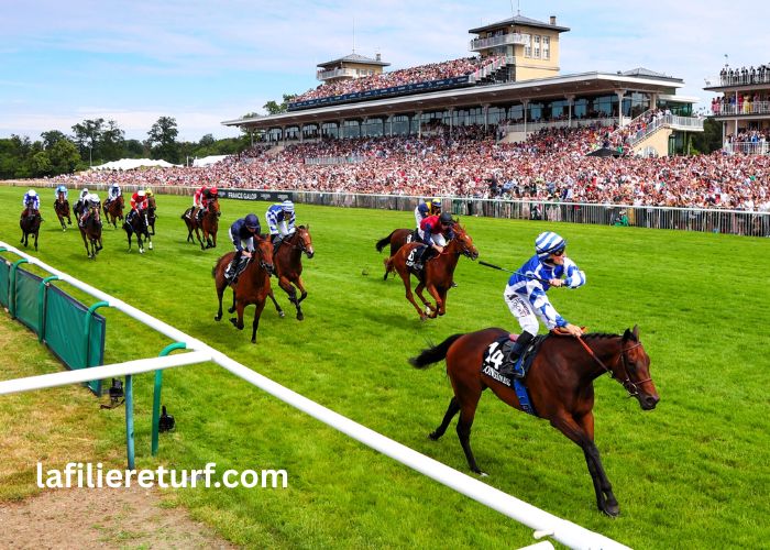 Paris Promise Turf