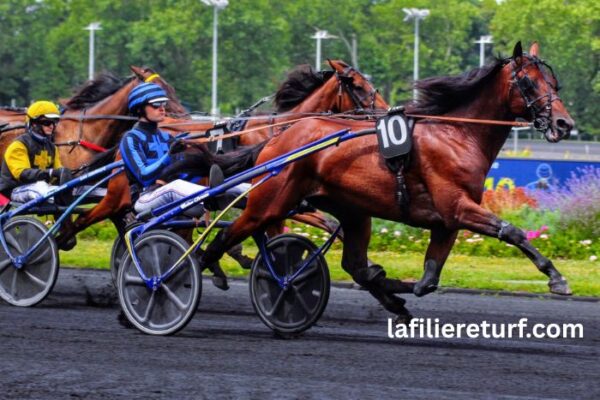 Pion Sur Pmu (1)