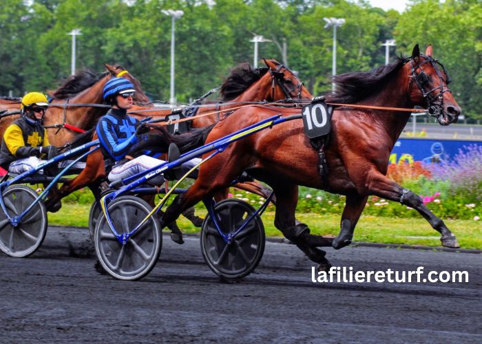 Pion Sur Pmu (1)